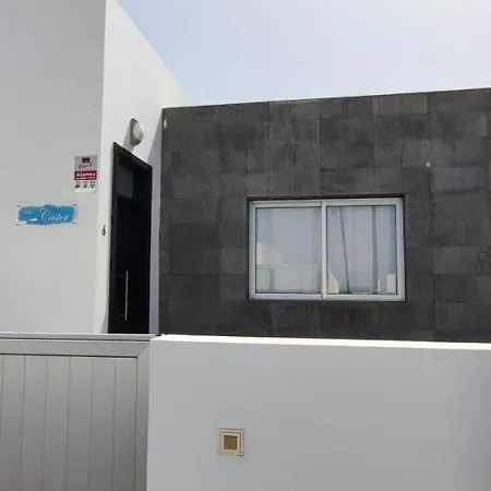 Cástor Playa Blanca (Lanzarote)