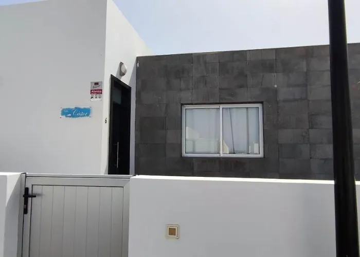 Cástor Playa Blanca (Lanzarote)